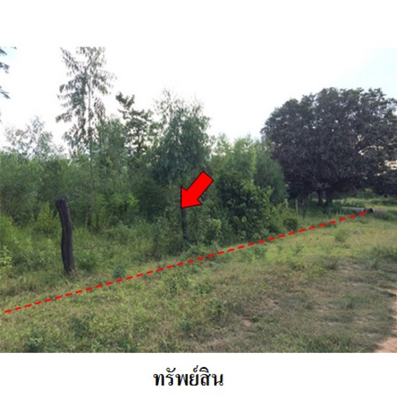 ที่ดินเปล่า ชัยภูมิ เมืองชัยภูมิ รอบเมือง 1980000