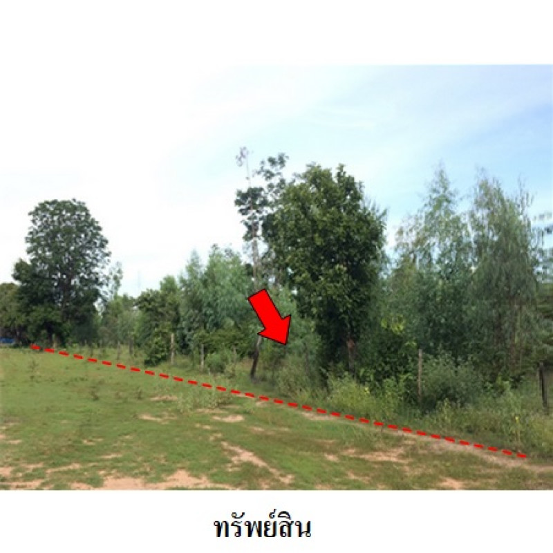 ที่ดินเปล่า ชัยภูมิ เมืองชัยภูมิ รอบเมือง 1980000