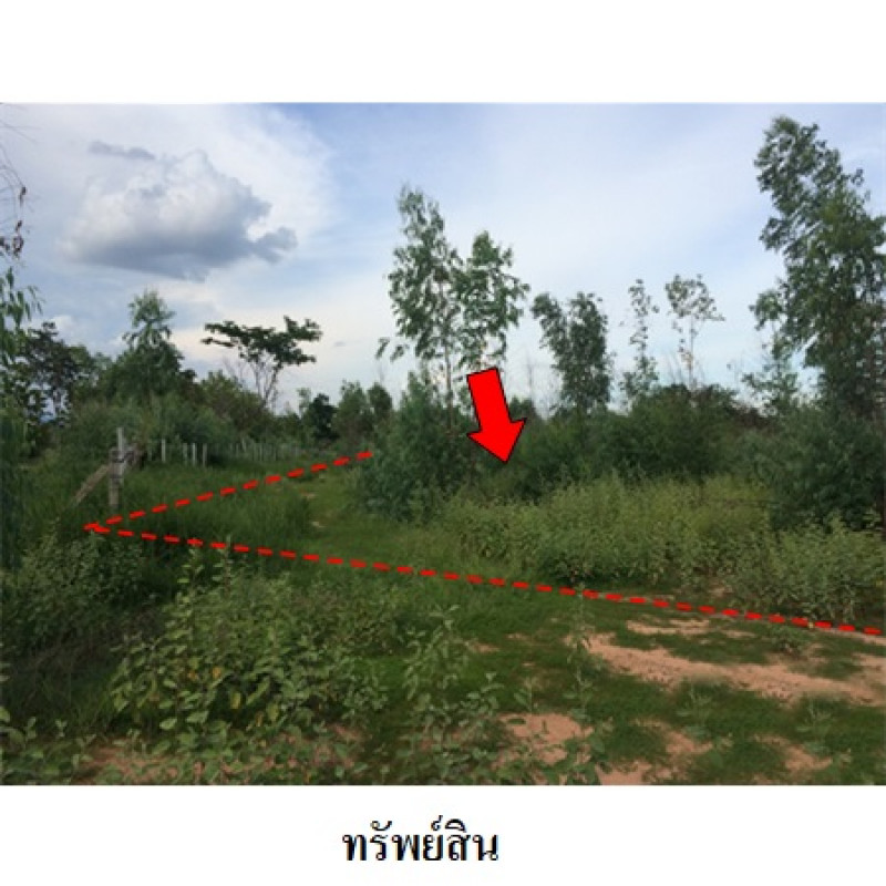 ที่ดินเปล่า ชัยภูมิ เมืองชัยภูมิ รอบเมือง 1980000