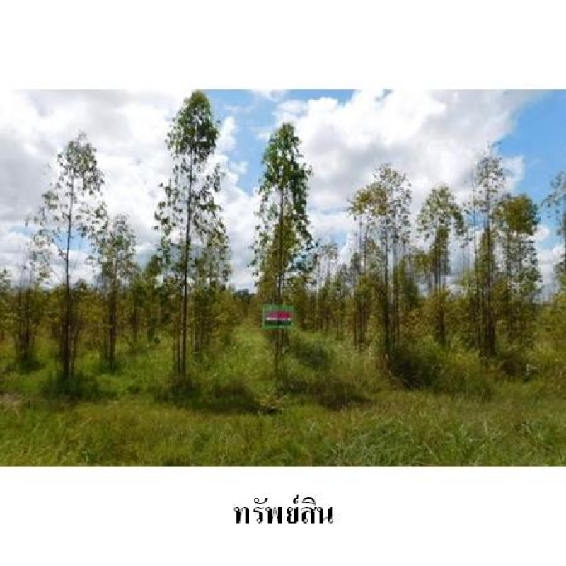 ที่ดินเปล่า ชัยภูมิ เมืองชัยภูมิ รอบเมือง 1440000