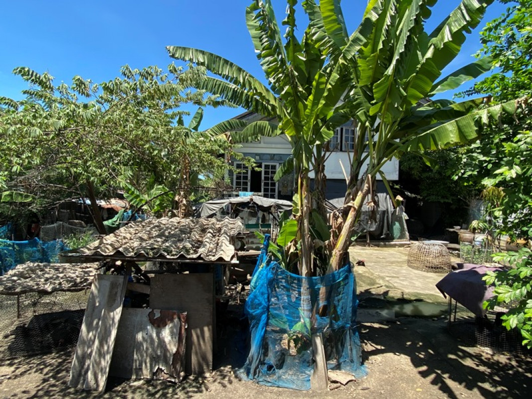 บ้านเดี่ยว นนทบุรี เมืองนนทบุรี สวนใหญ่ 5484000