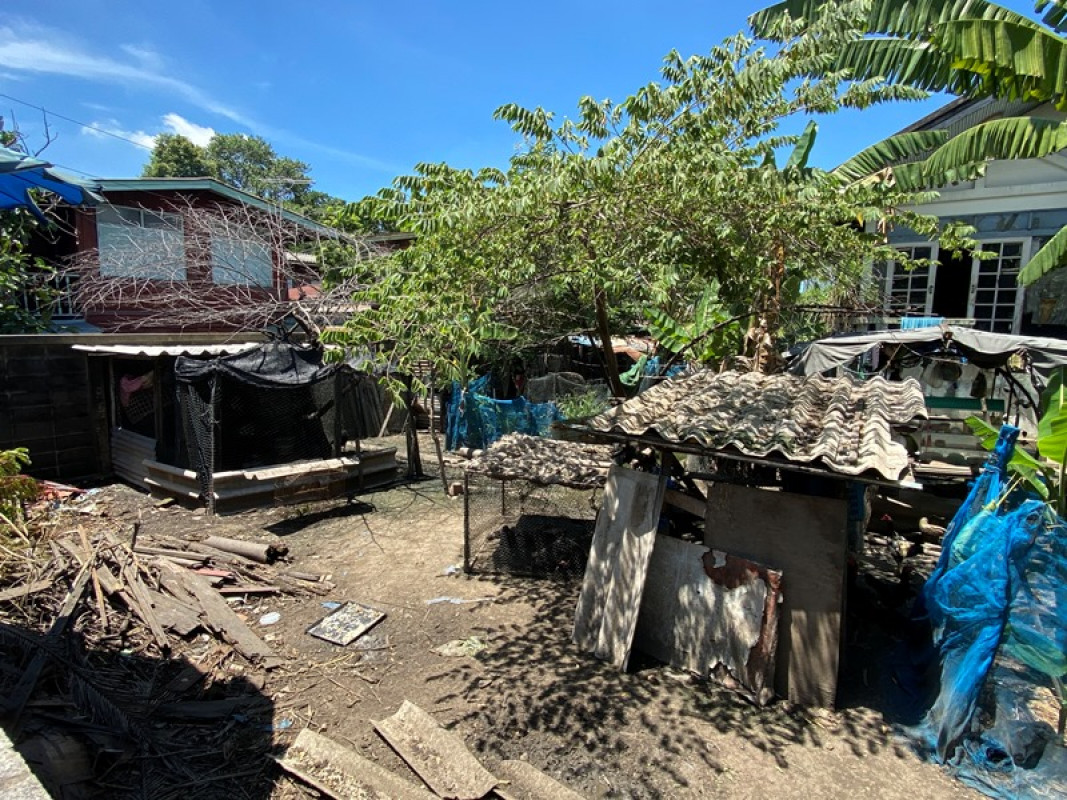 บ้านเดี่ยว นนทบุรี เมืองนนทบุรี สวนใหญ่ 5484000