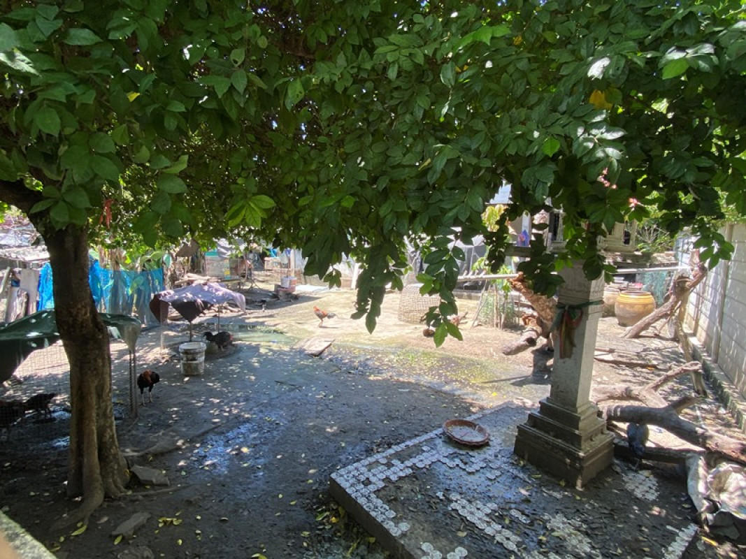 บ้านเดี่ยว นนทบุรี เมืองนนทบุรี สวนใหญ่ 5484000