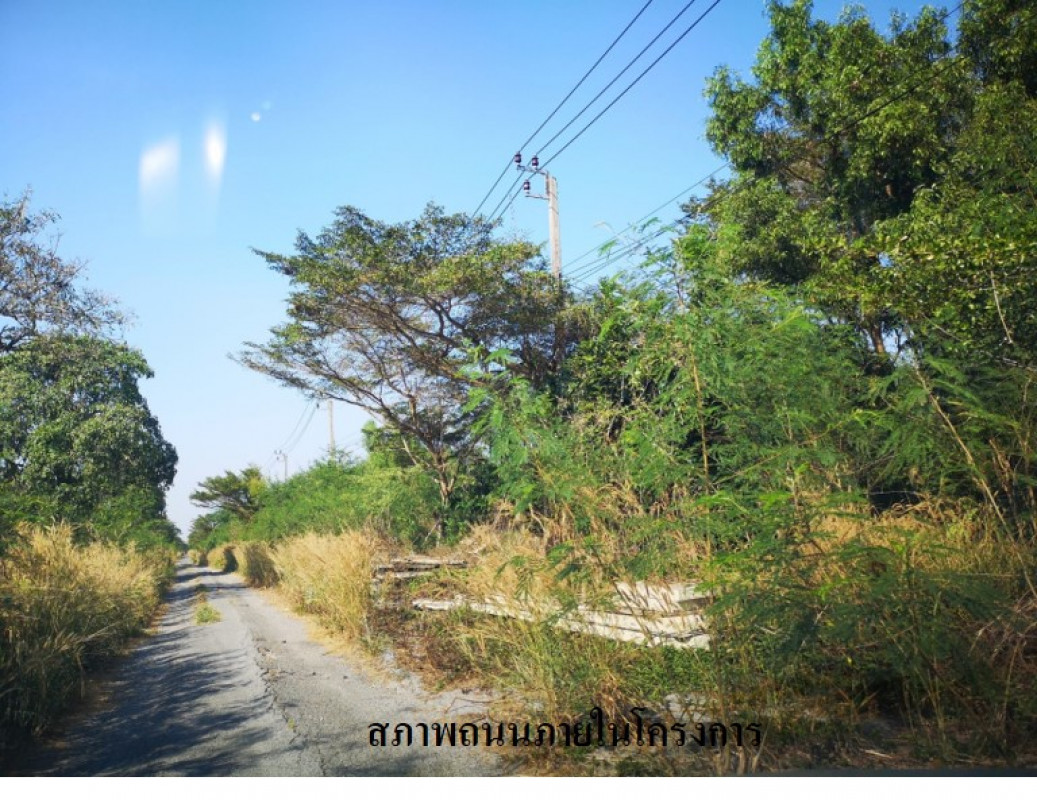 บ้านเดี่ยว กรุงเทพมหานคร หนองจอก คู้ฝั่งเหนือ 355778000