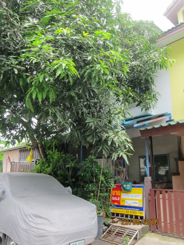 ทาวน์เฮ้าส์ หมู่บ้านนริศรา ปทุมธานี ธัญบุรี บึงน้ำรักษ์ 840000
