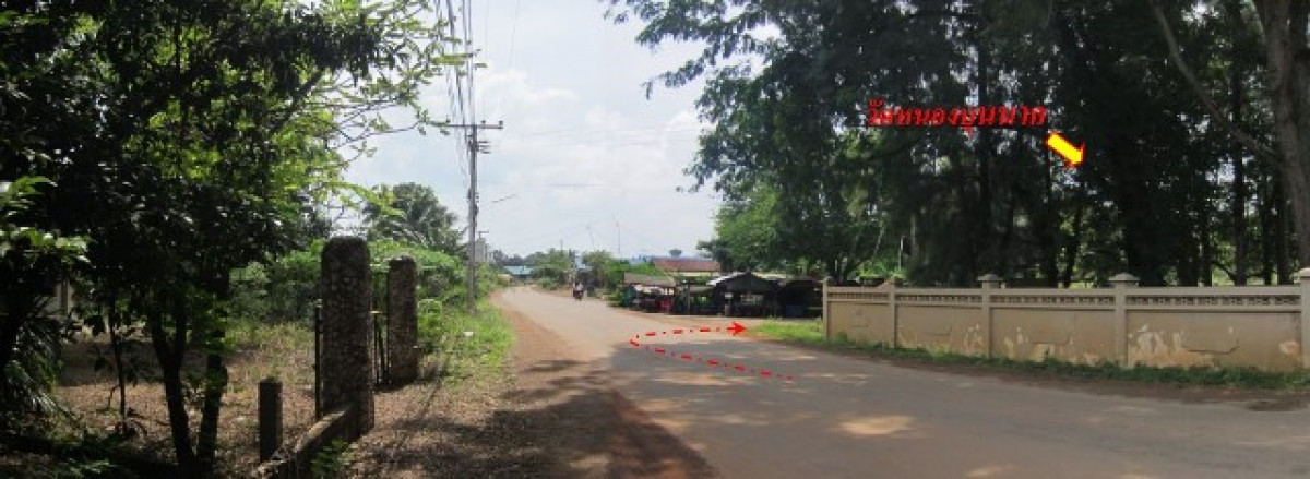 บ้านเดี่ยว บ้านเดี่ยว 2 ชั้น นครราชสีมา นครราชสีมา หนองบุญมาก หนองบุนนาก 1068000