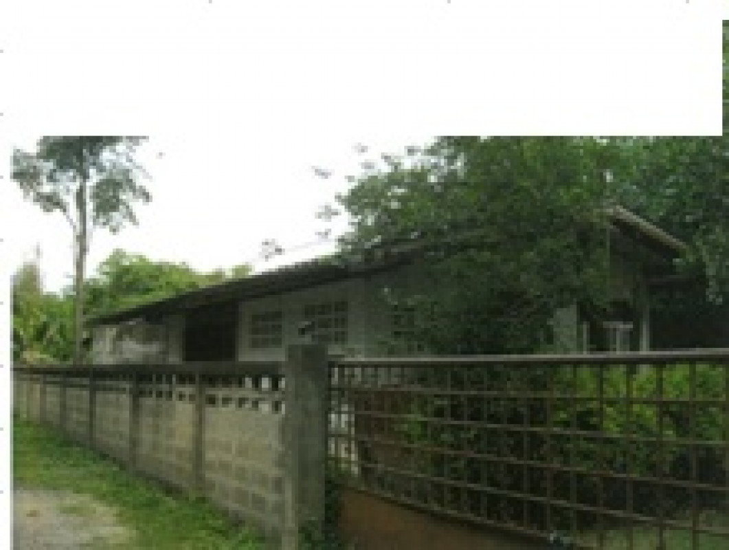 บ้านเดี่ยว เชียงใหม่ เมืองเชียงใหม่ ท่าศาลา 32738000