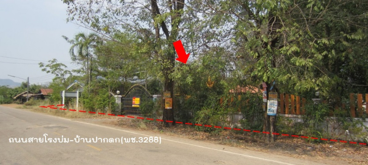 โรงงาน/โกดัง เพชรบูรณ์ หนองไผ่ ยางงาม 10345000
