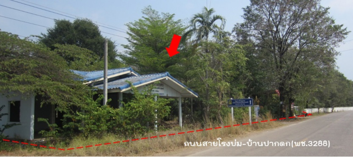 โรงงาน/โกดัง เพชรบูรณ์ หนองไผ่ ยางงาม 10345000