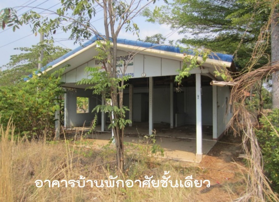 โรงงาน/โกดัง เพชรบูรณ์ หนองไผ่ ยางงาม 10345000