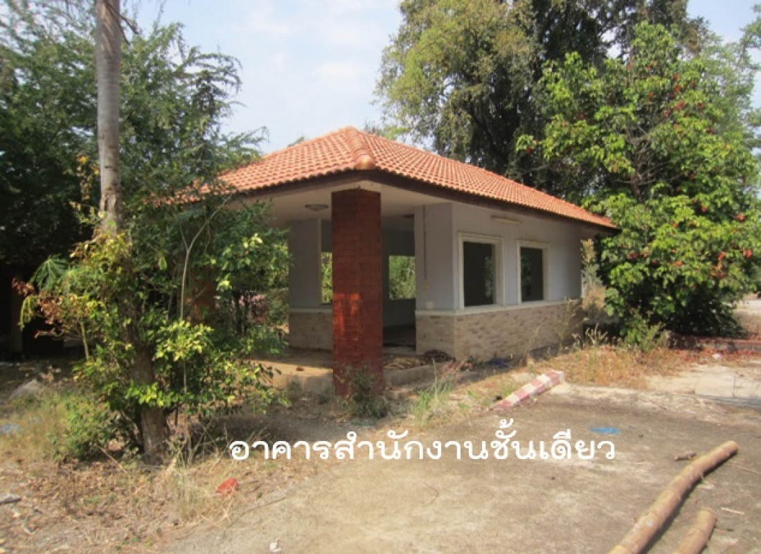 โรงงาน/โกดัง เพชรบูรณ์ หนองไผ่ ยางงาม 10345000