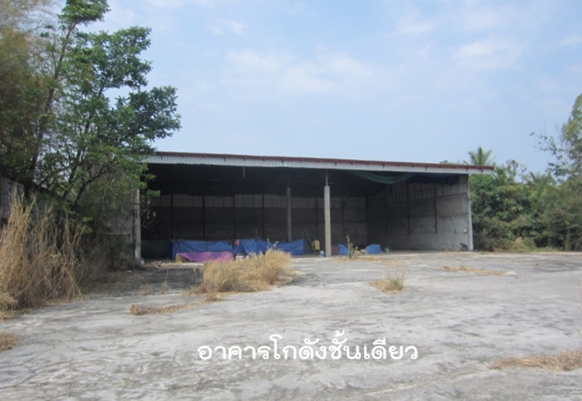 โรงงาน/โกดัง เพชรบูรณ์ หนองไผ่ ยางงาม 10345000