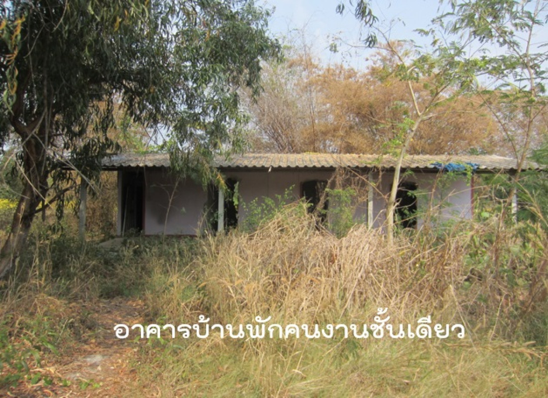 โรงงาน/โกดัง เพชรบูรณ์ หนองไผ่ ยางงาม 10345000