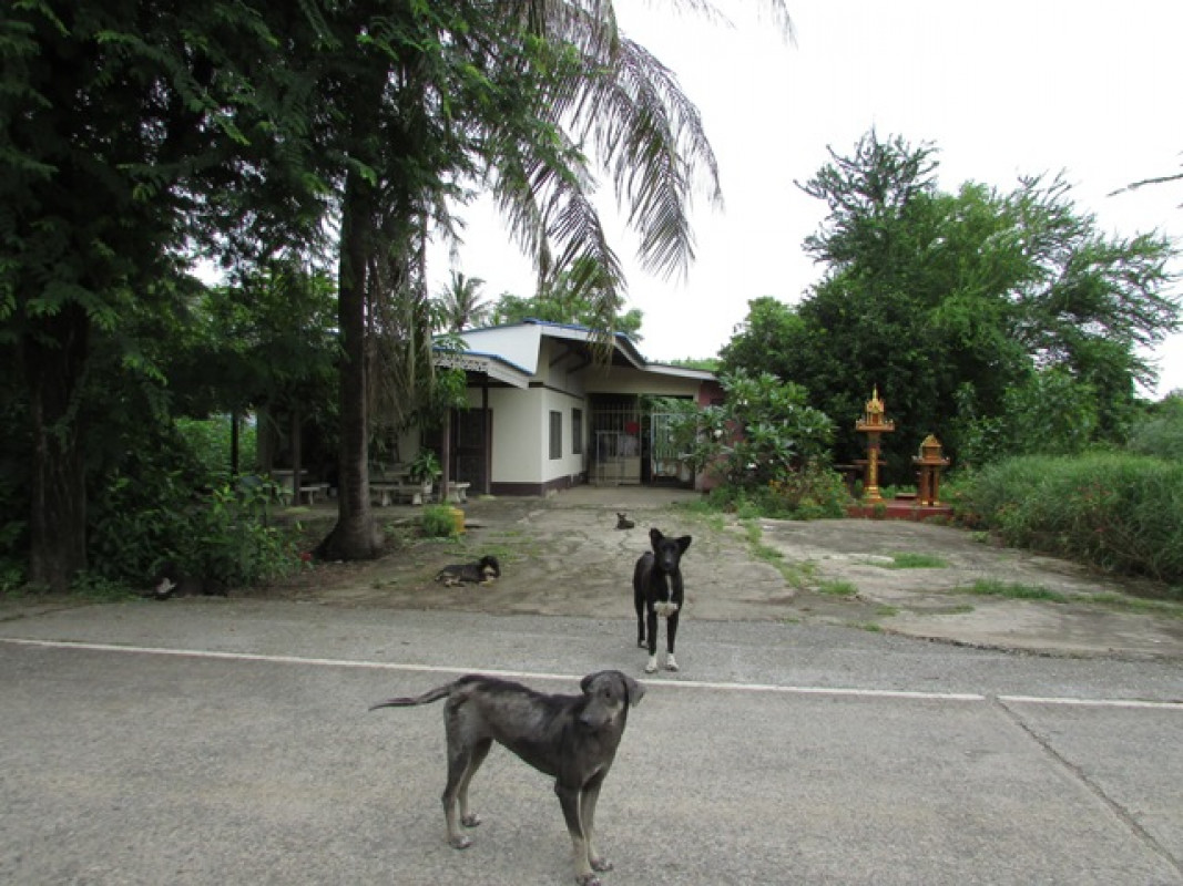 บ้านเดี่ยว กรุงเทพมหานคร คลองสามวา ทรายกองดิน 5159000