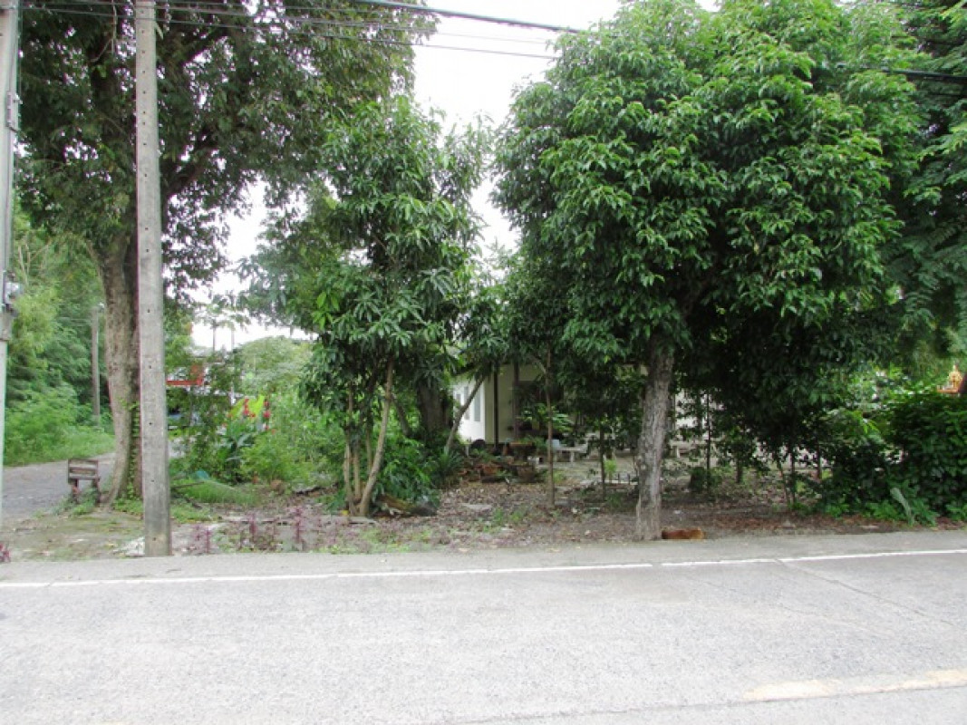 บ้านเดี่ยว กรุงเทพมหานคร คลองสามวา ทรายกองดิน 5159000