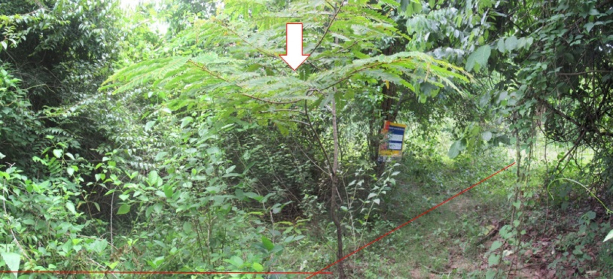 ที่ดินเปล่า DA-PET-VL-0116 เพชรบุรี ท่ายาง กลัดหลวง 5066000