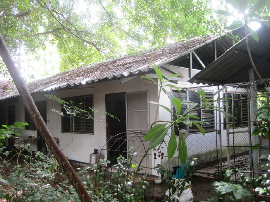 Plant/Storage Lampang Mae Tha Nam Cho 12352000