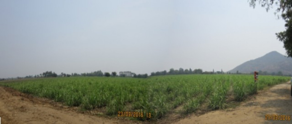 ที่ดินเปล่า กาญจนบุรี พนมทวน รางหวาย 15252000