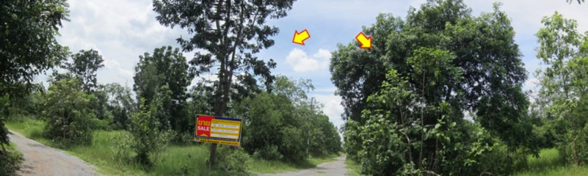 ที่ดินเปล่า ชิตเจริญแลนด์ นครราชสีมา ปักธงชัย ตะคุ 120000