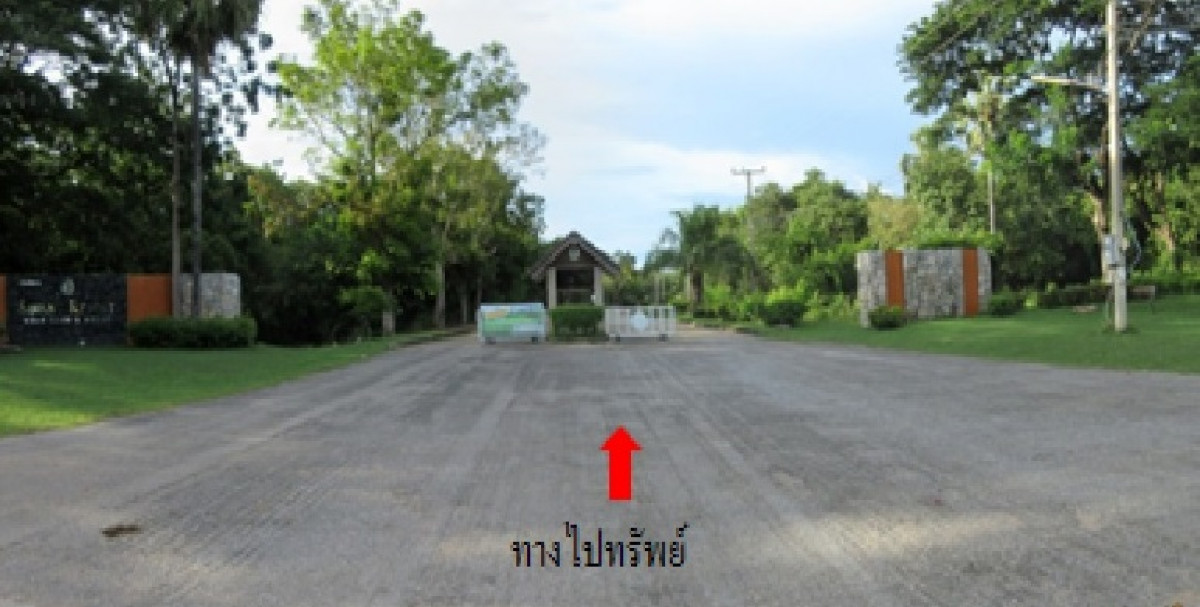 ที่ดินเปล่า เพชรบุรี เขาย้อย สระพัง 33664000