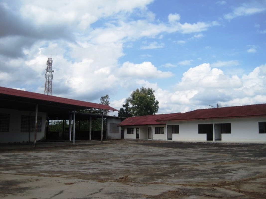โรงงาน/โกดัง ลำพูน บ้านโฮ่ง เหล่ายาว 7940000
