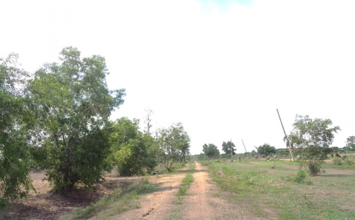 Single house Nakhon Nayok Ongkharak Sisa Krabue 9487000