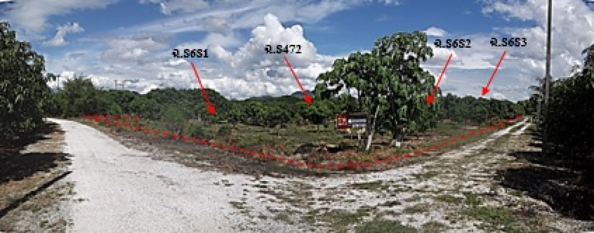 ที่ดินเปล่า ลำพูน บ้านโฮ่ง เหล่ายาว 945000