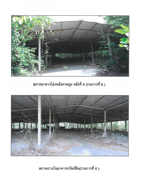 โรงงาน/โกดัง โรงงานพิจิตร พิจิตร บางมูลนาก เนินมะกอก 22349000