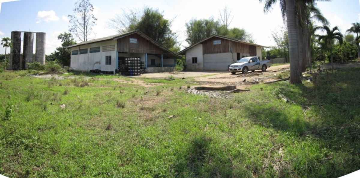 Single house Lamphun Li Si Wichai 2637000