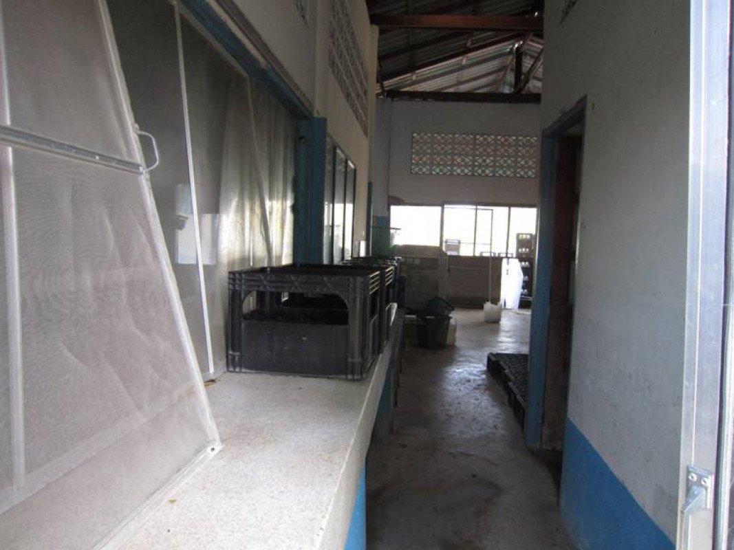 Single house Lamphun Li Si Wichai 2637000