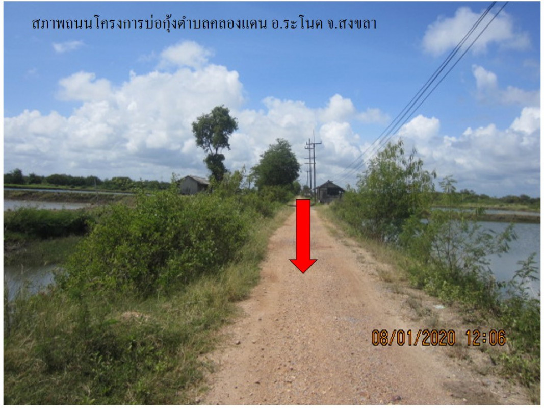 ที่ดินเปล่า สงขลา ระโนด คลองแดน 293000