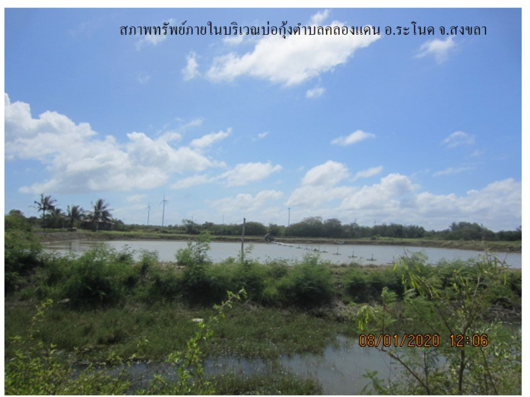 ที่ดินเปล่า สงขลา ระโนด คลองแดน 293000