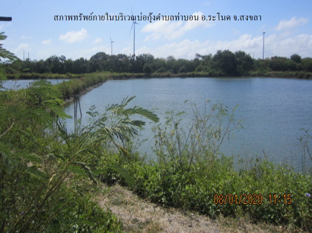 Residential land/lot Songkhla Ranot Tha Bon 293000
