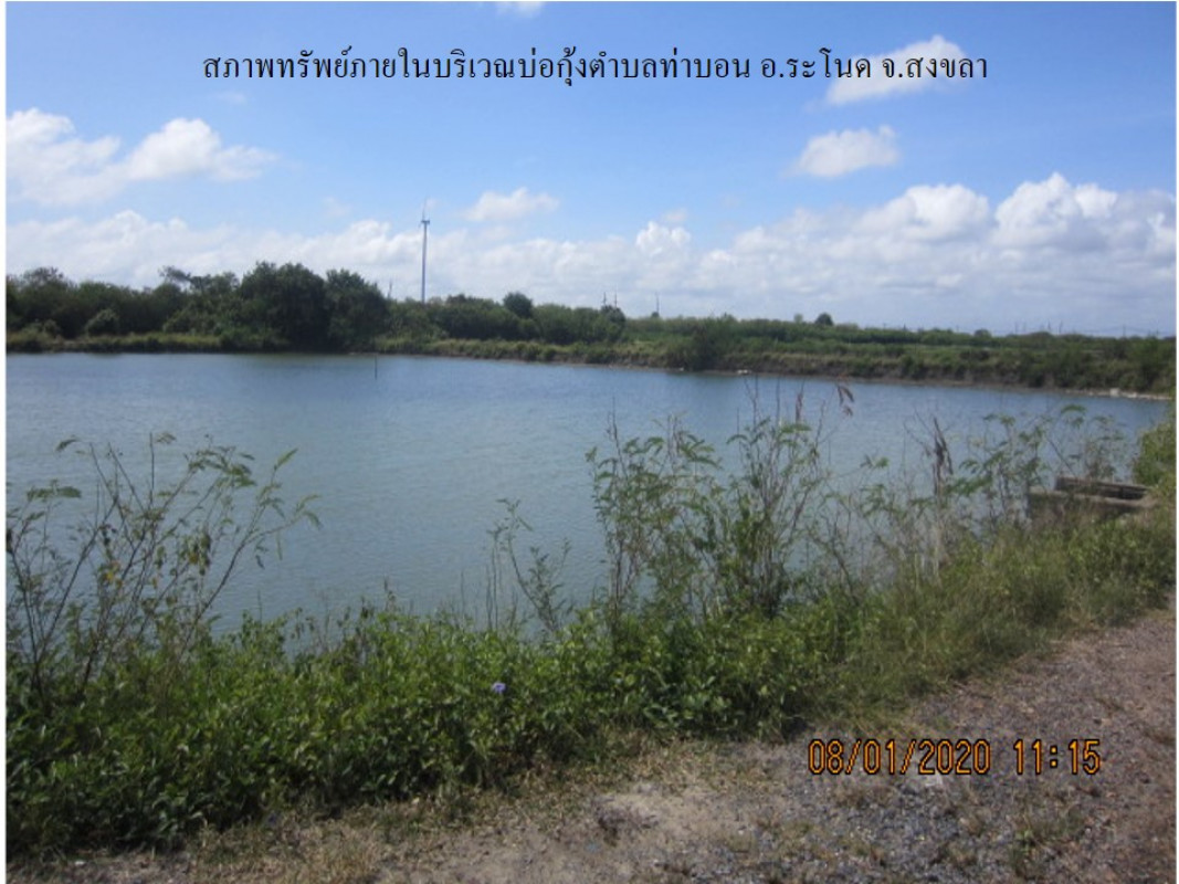 Residential land/lot Songkhla Ranot Tha Bon 293000