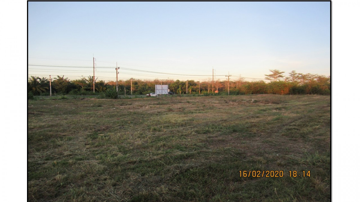Plant/Storage Surat Thani Kanchanadit Phlai Wat 51108000