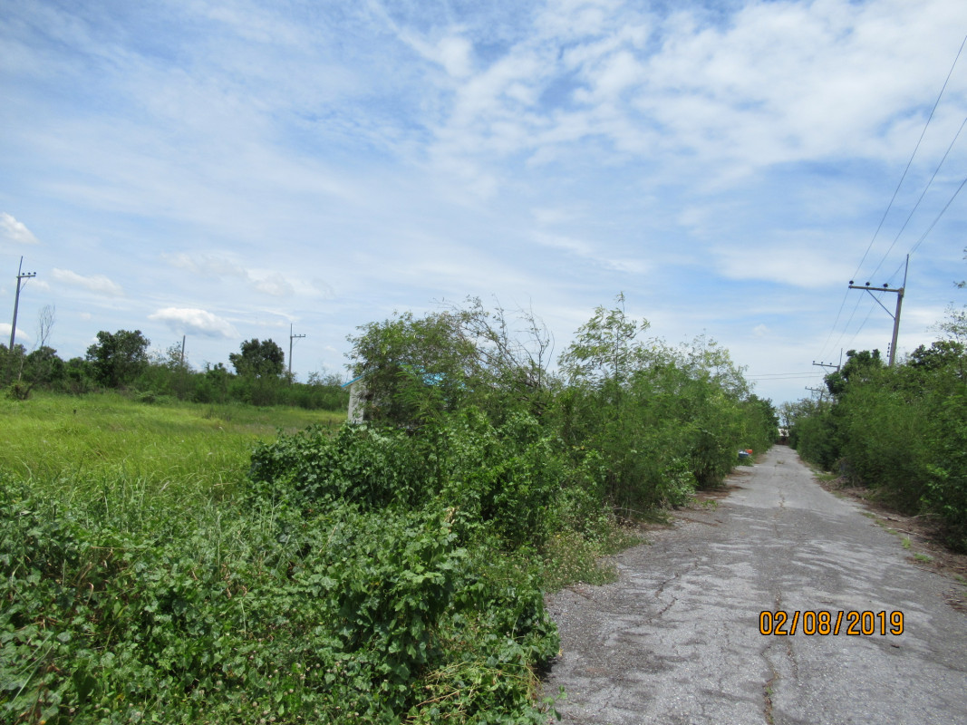 Residential land/lot Pathum Thani Nong Suea Bueng Ba 284000