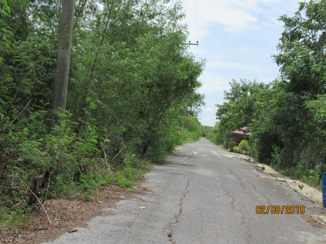 Residential land/lot Pathum Thani Nong Suea Bueng Ba 284000