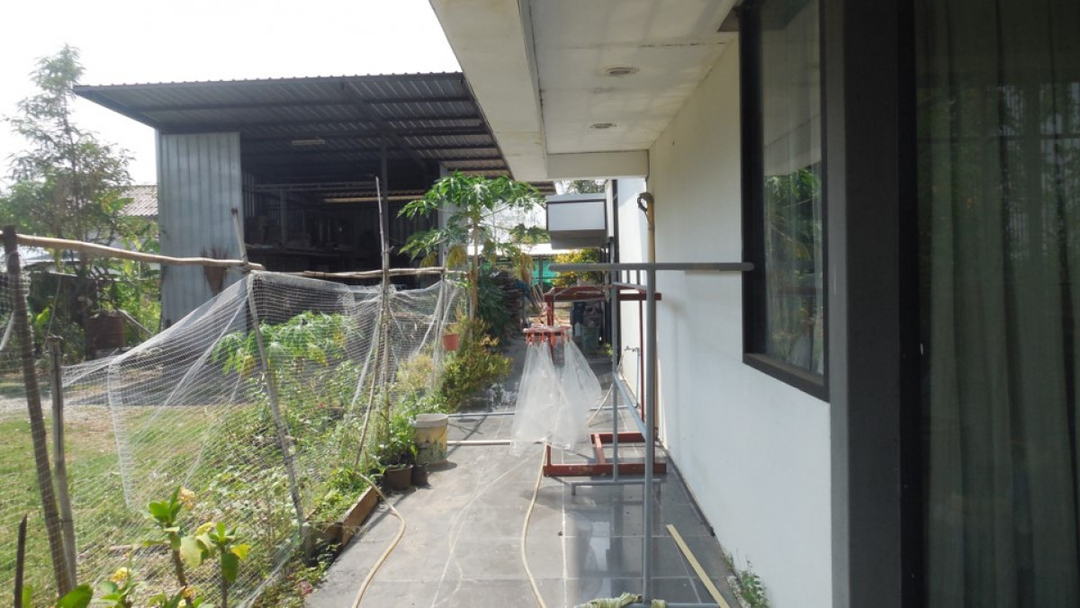 บ้านเดี่ยว ชัยภูมิ บำเหน็จณรงค์ เกาะมะนาว 2617000