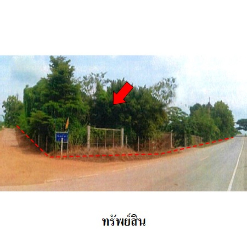 โรงงาน/โกดัง เพชรบูรณ์ หล่มเก่า นาซำ 10590000