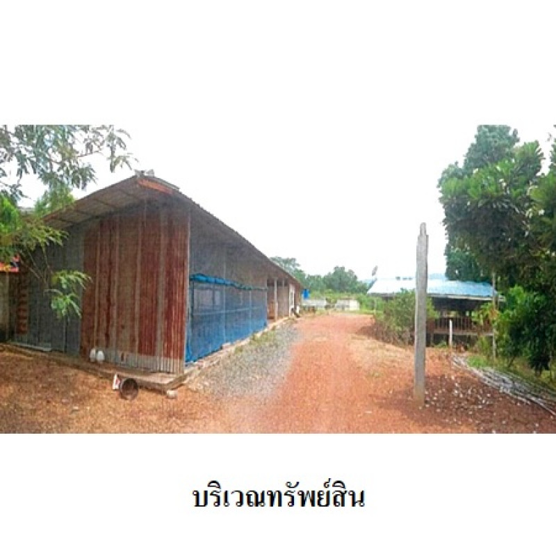 โรงงาน/โกดัง เพชรบูรณ์ หล่มเก่า นาซำ 10590000