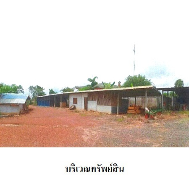 โรงงาน/โกดัง เพชรบูรณ์ หล่มเก่า นาซำ 10590000