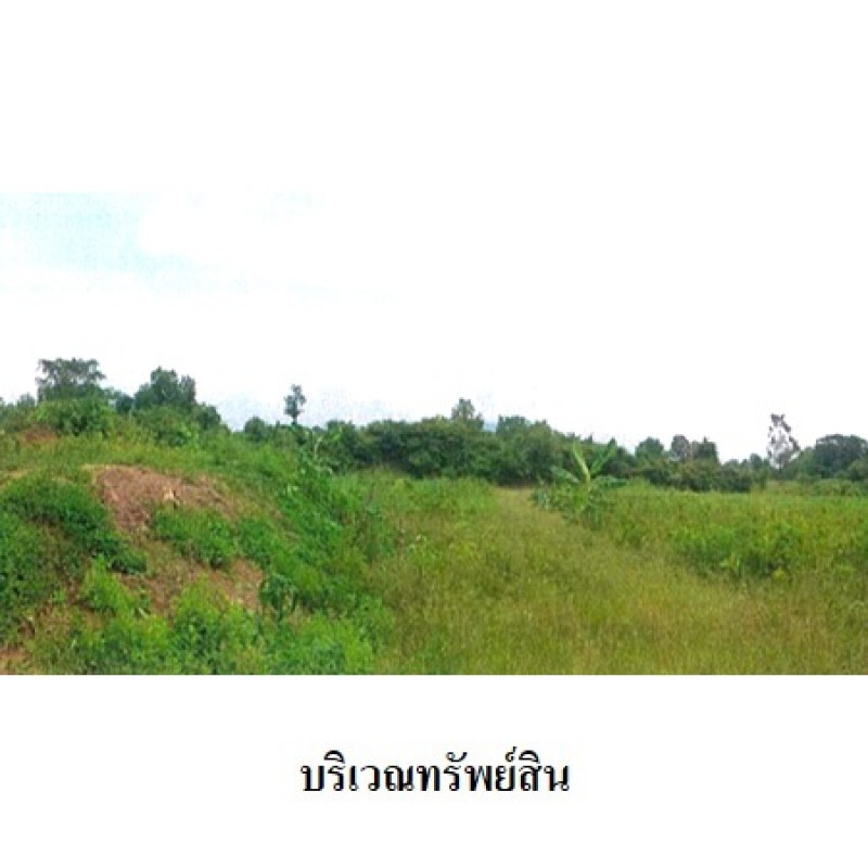โรงงาน/โกดัง เพชรบูรณ์ หล่มเก่า นาซำ 10590000