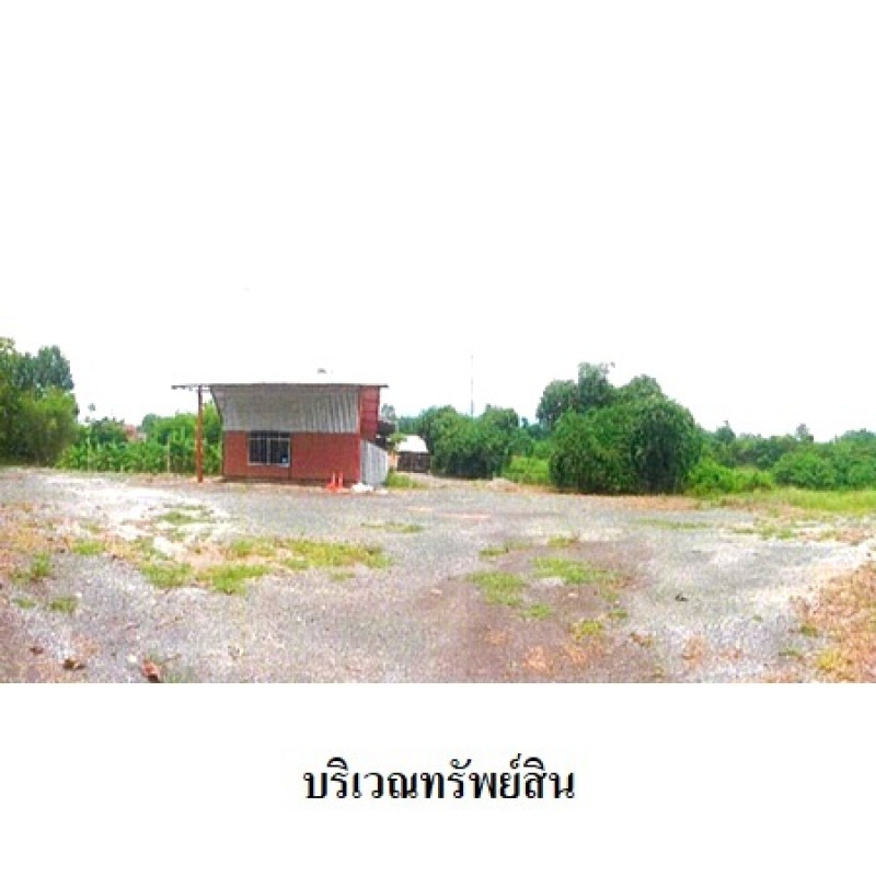 โรงงาน/โกดัง เพชรบูรณ์ หล่มเก่า นาซำ 10590000