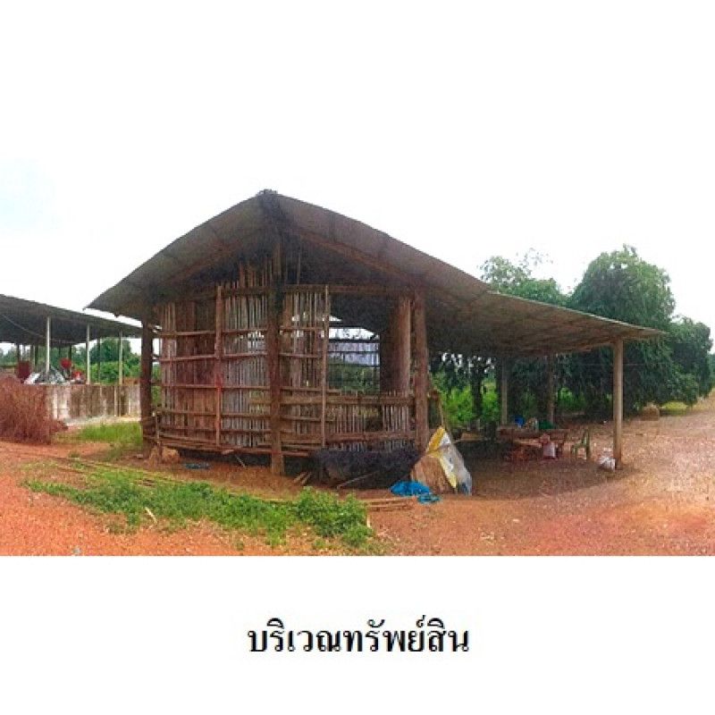 โรงงาน/โกดัง เพชรบูรณ์ หล่มเก่า นาซำ 10590000