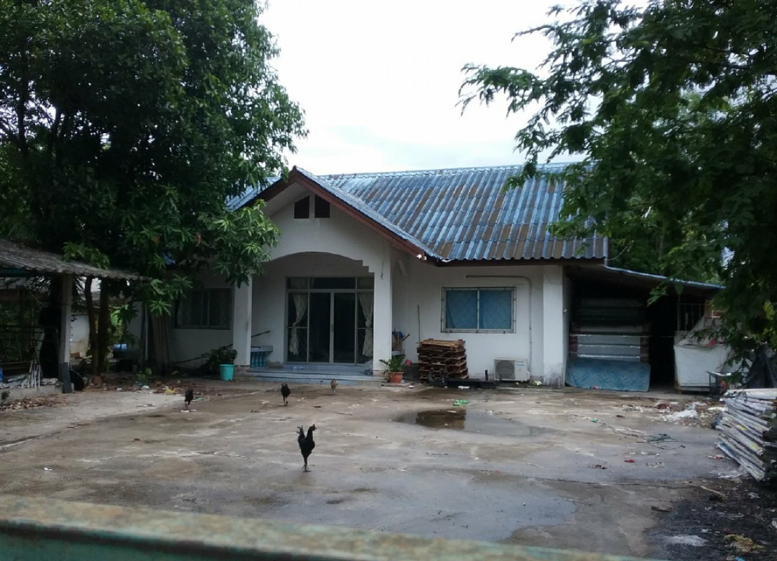 บ้านเดี่ยว เชียงใหม่ สันกำแพง สันกลาง 2114000