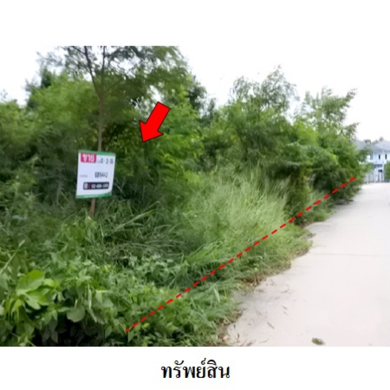 ที่ดินเปล่า สวนวลีแลนด์ 4 ระยอง เมืองระยอง ทับมา 3460000