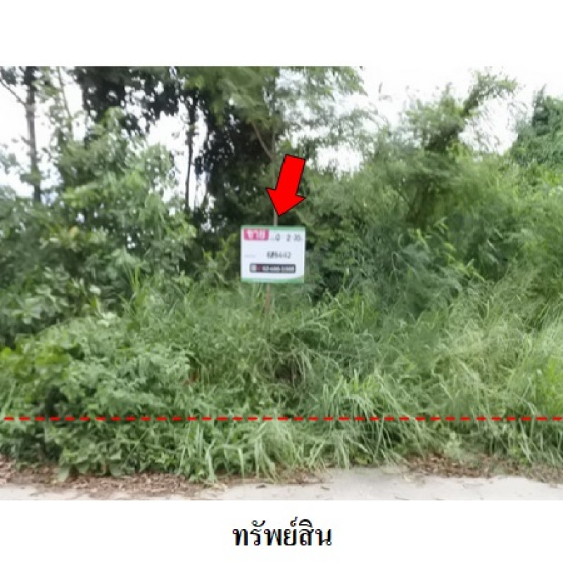 ที่ดินเปล่า สวนวลีแลนด์ 4 ระยอง เมืองระยอง ทับมา 3460000