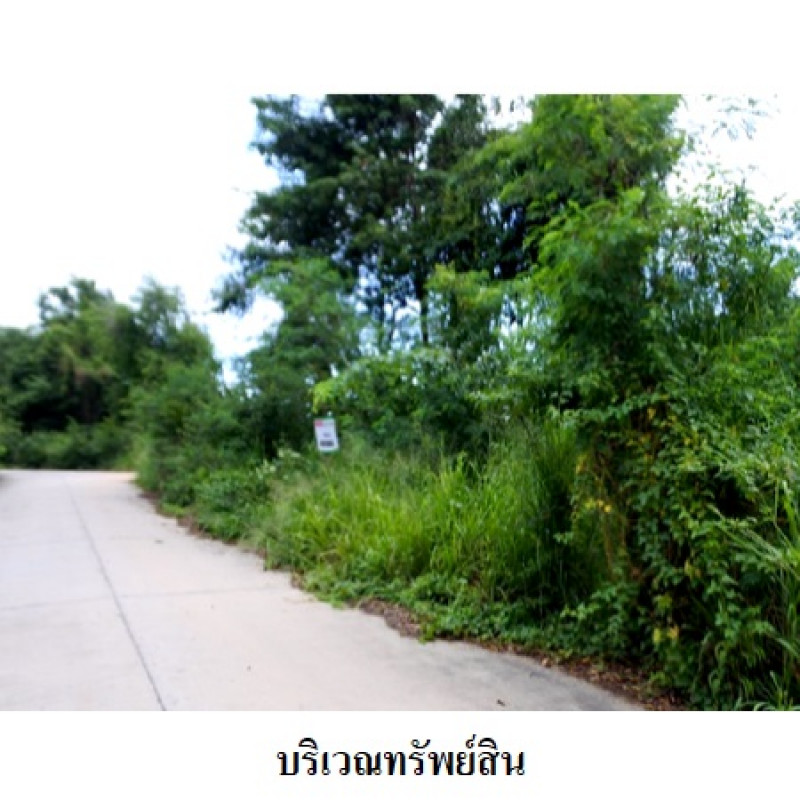 ที่ดินเปล่า สวนวลีแลนด์ 4 ระยอง เมืองระยอง ทับมา 3460000