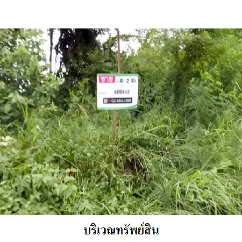 ที่ดินเปล่า สวนวลีแลนด์ 4 ระยอง เมืองระยอง ทับมา 3460000