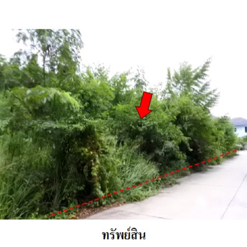 ที่ดินเปล่า สวนวลีแลนด์ 4 ระยอง เมืองระยอง ทับมา 3390000